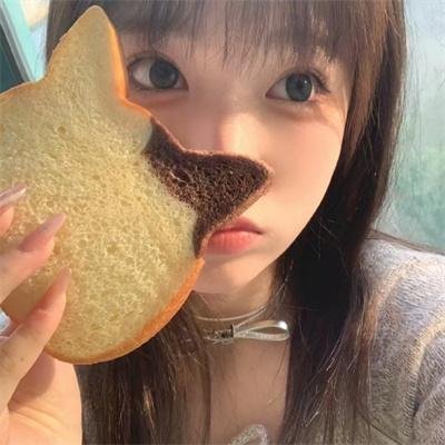恐龙之子